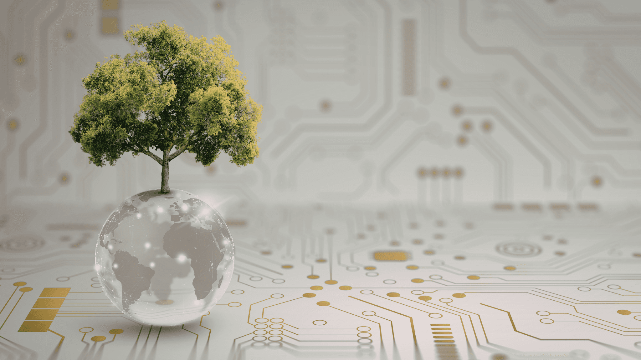 Baum wächst aus einer gläsernen Weltkugel auf einer Platine — Sinnbild für digitale Systeme aus Graz, die organisch wachsen: Webentwicklung, SEO, KI, Apps und SaaS aus einer Hand